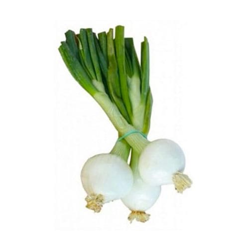 Cebolla fresca / Fresh onion
