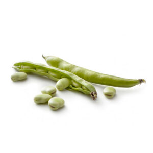 Habas / Fava beans