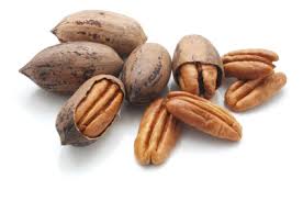 Nuez pecana / Pecan