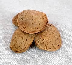 Almendras sin pelar/ Unpeeled Almonds