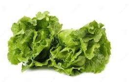 OFERTA 2 Lechugas / OFFER 2 Lettuce