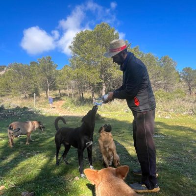 WhatsApp Image 2026-01-29 at 12.54.28